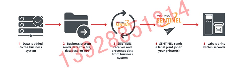 帶有 API 的 SENTINEL 打印自動(dòng)化流程圖
